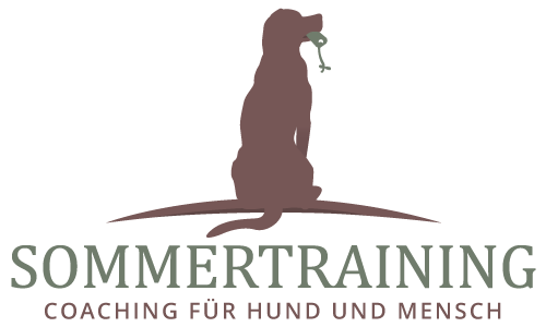 hundeschule-sommertraining-logo
