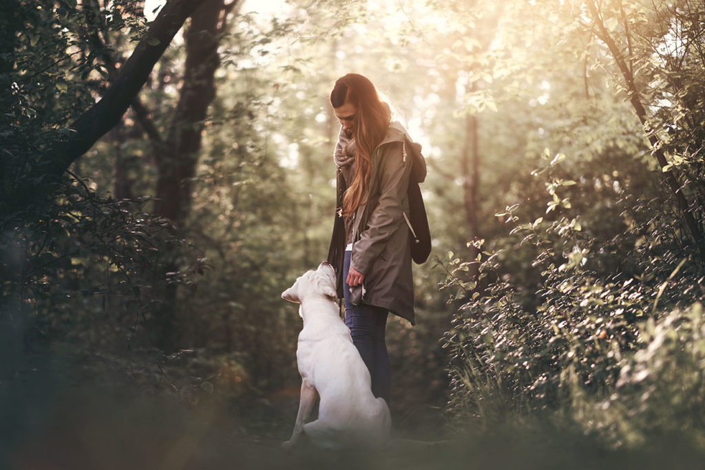 hundeschule-sommertraining-einzelcoaching